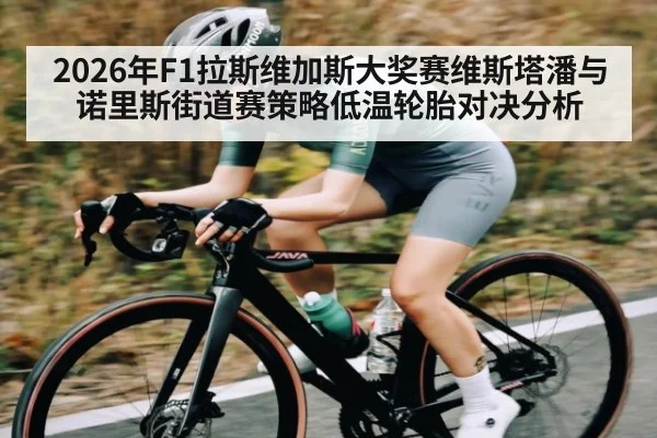 2026年F1拉斯维加斯大奖赛维斯塔潘与诺里斯街道赛策略低温轮胎对决分析