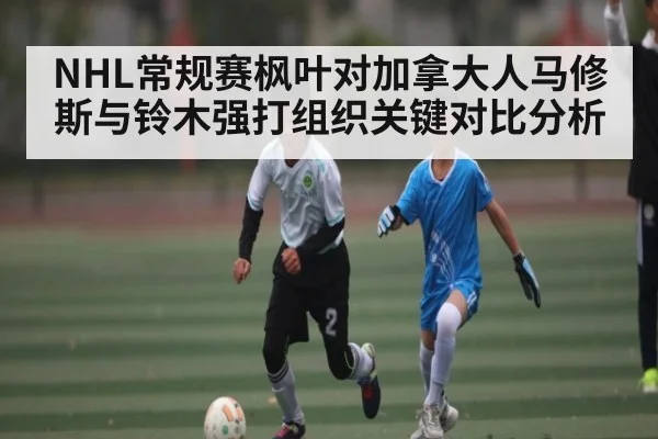 NHL常规赛枫叶对加拿大人马修斯与铃木强打组织关键对比分析 | kaiyun